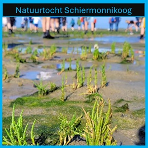 Natuurtocht Schiermonnikoog
