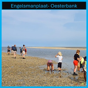 Engelsmanplaat Oesterbank