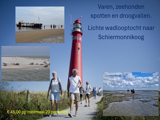 waddeneiland